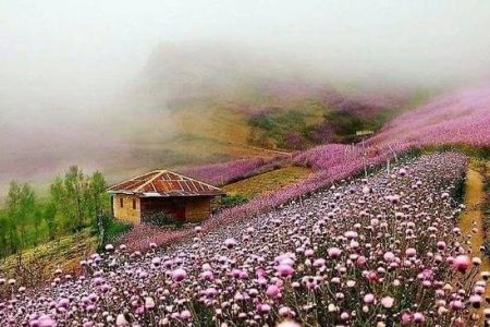 افزایش دما در غالب نقاط کشور | وزش باد شدید و گرد و خاک در شمال غرب