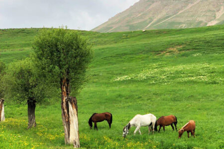 بهترین ییلاق های اطراف تهران | ۷ مقصد برای سفر یک روزه