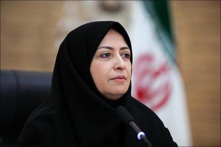 نگاهی به سوابق شینا انصاری رئیس سازمان حفاظت محیط زیست