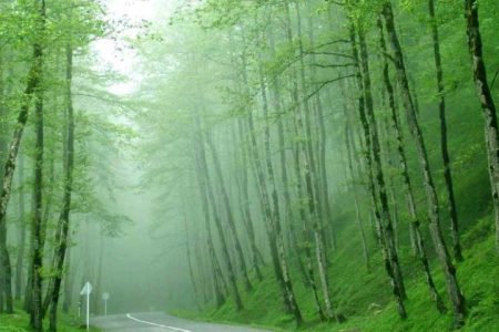 کاهش نسبی دما در روزهای آینده | رگبار باران در نقاط مختلف کشور