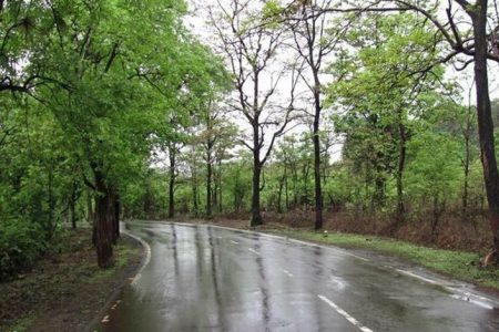 بارش باران در نوار شمالی کشور
