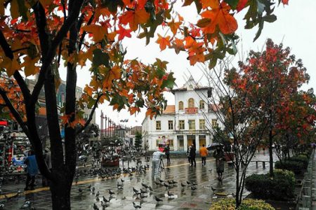 باران در گیلان و چند استان دیگر از سه شنبه