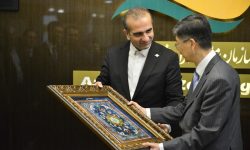 منطقه آزاد انزلی به دنبال ایجاد شهرک صنعتی چینی و پارک لجستیک مشترک با پکن