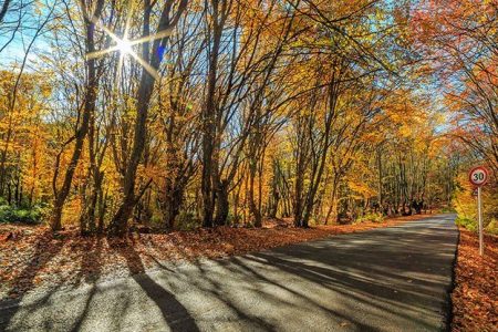 کاهش ۸۵ درصدی باران گیلان در آبان ماه | فقط ۲۲ میلیمتر باران