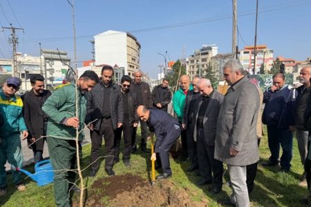 رشت در مسیر توسعه فضای سبز | آغاز کاشت درختان بومی در سطح شهر